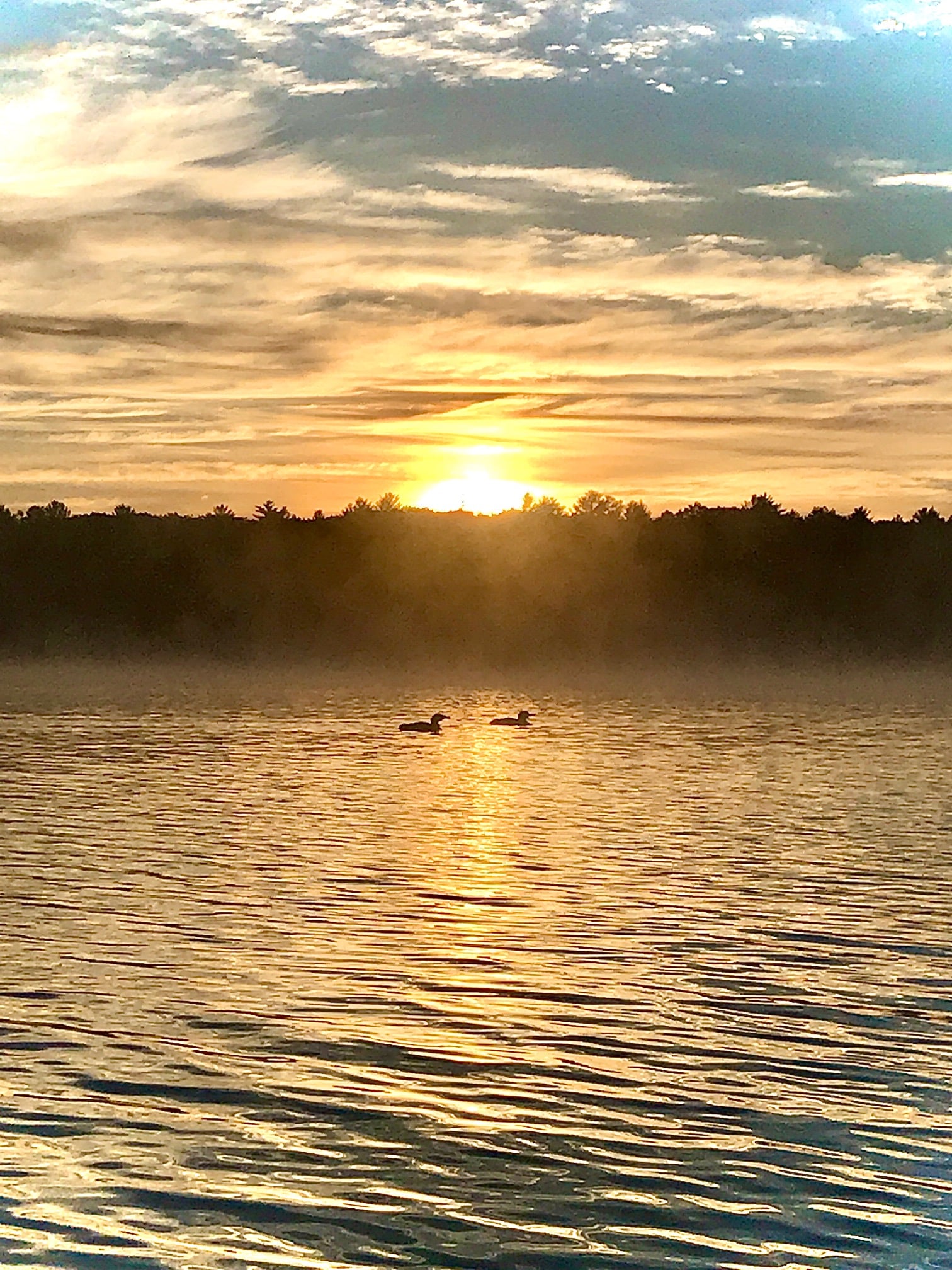 Bear Lake Association Kalkaska, Michigan To Improve and Protect